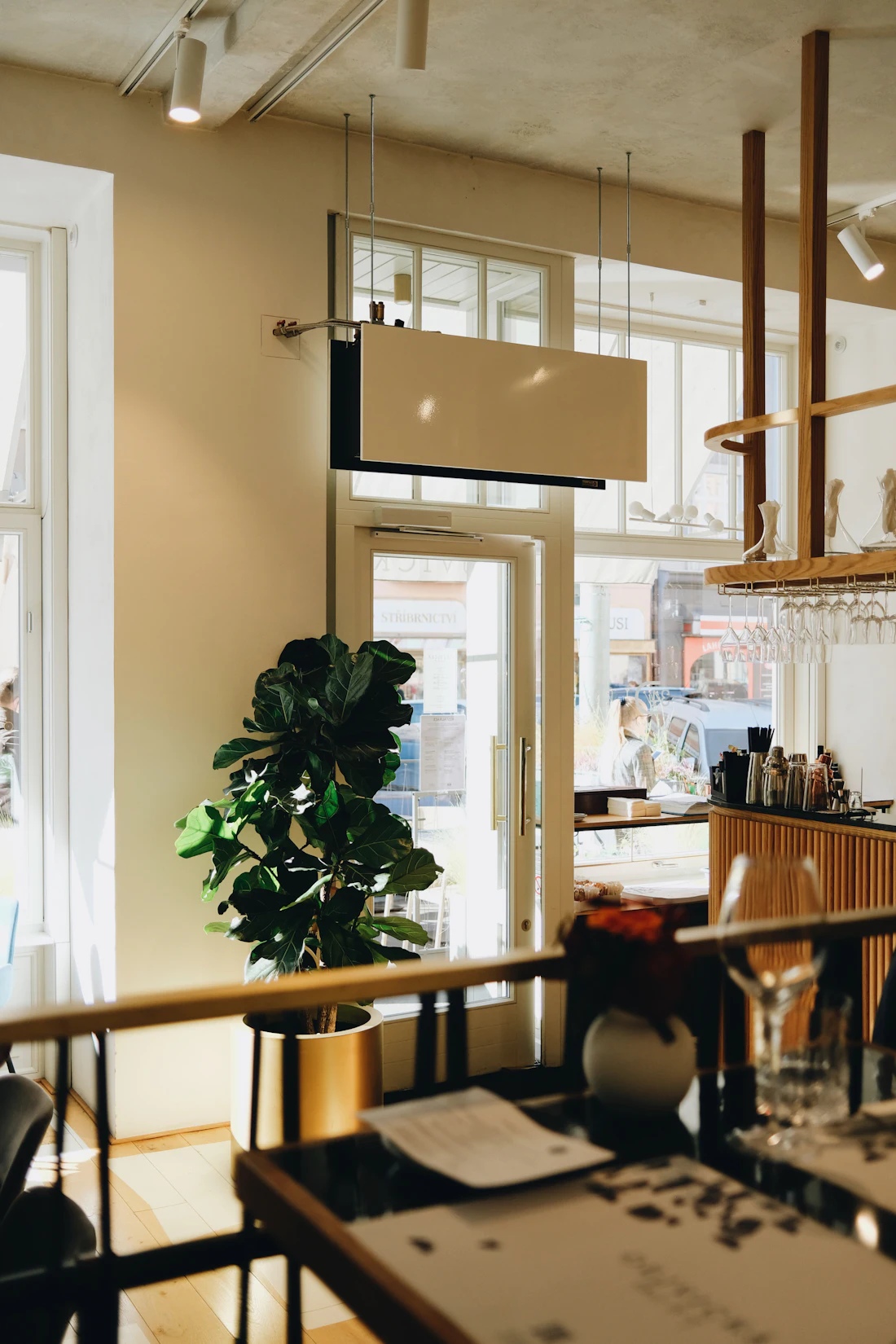 Bright café room with a large plant and tall windows